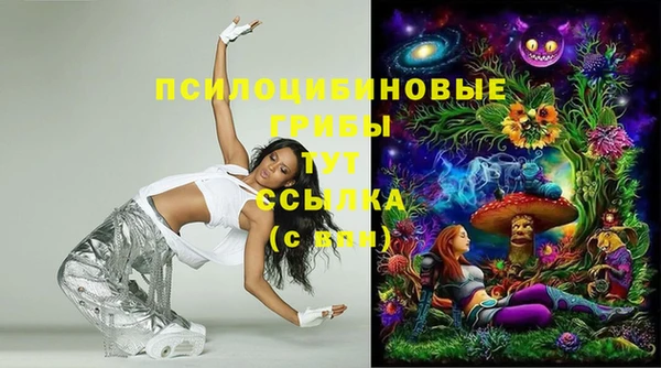 марки nbome Карпинск