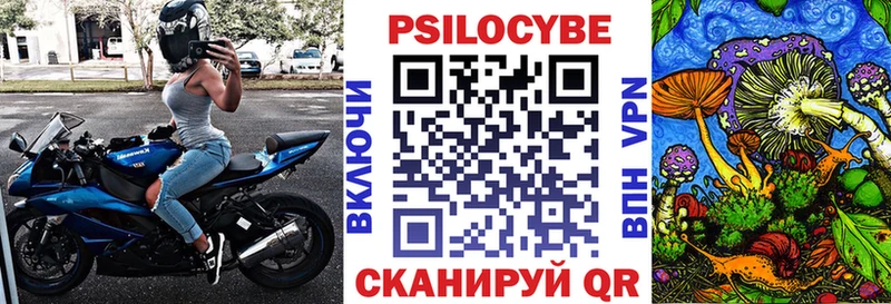Купить закладки  Колпашево  Псилоцибиновые грибы мицелий 