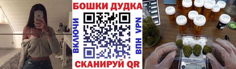 Конопля сатива  Купить закладки  Колпашево 